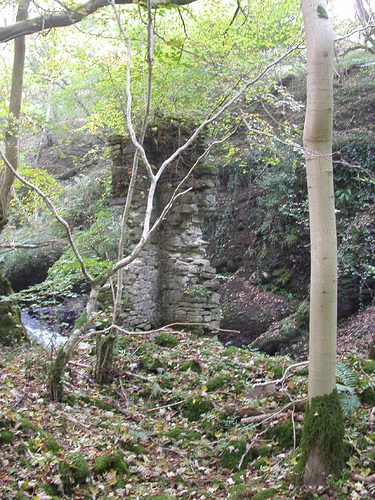 Remains of Hebblethwaite Mill